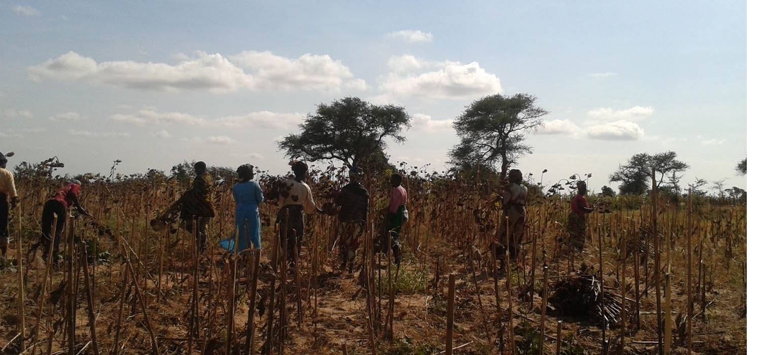 2010 - Il primo microcredito in Tanzania