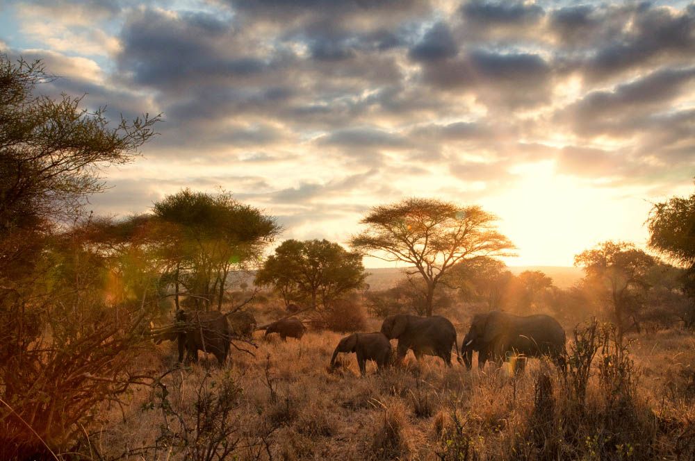 Raccontare la Tanzania: prima parte.