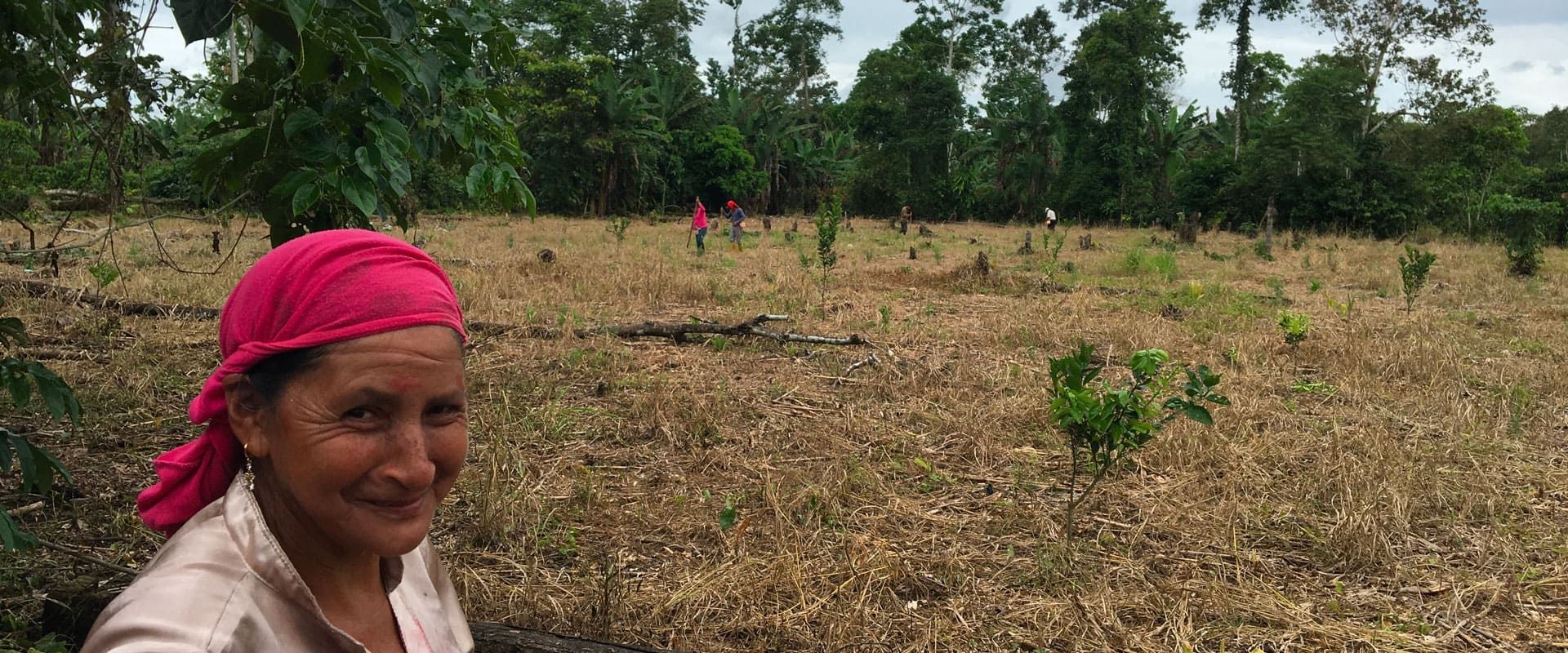 Tierra, trabajo y pan